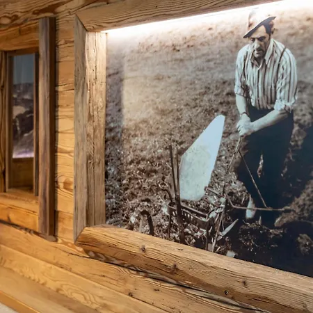 Apartman Apartment-schoeser